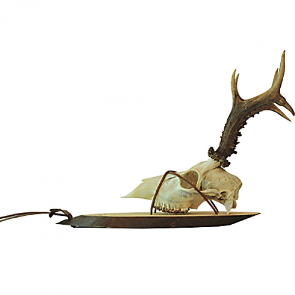 Trophäenbrett Gehörn - Patentiertes Klemmsystem - Artikel DT-14k